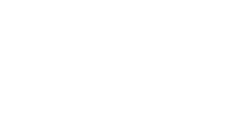 Anoir Logo H